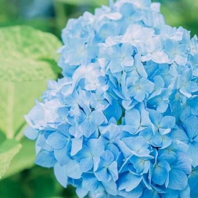 完美电竞平台手机app下载