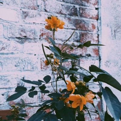 完美电竞平台手机app下载